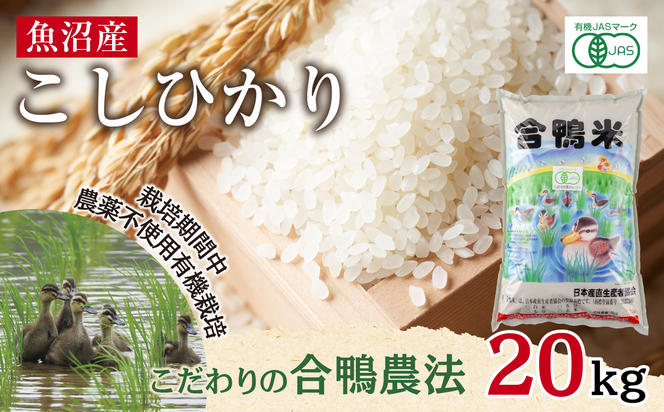 魚沼産 コシヒカリ 20kg あいがも農法 有機栽培米 精米 米 お米 ご飯 白米 合鴨 ごんべい こしひかり 特A 人気 安全 お取り寄せ 送料無料 新潟県 十日町市