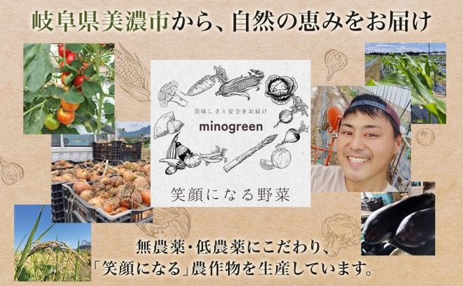 令和6年産 低農薬 清流育ち はつしも 精米 10kg×2袋 計20kg 新米 お米 精白米 白米 米 ごはん 米 ご飯 ハツシモ あっさり ブランド米 大粒 幻の米 お取り寄せ 自家用 贈答用 贈り物 御礼 産地直送 送料無料 美濃グリーン 岐阜県 美濃市
