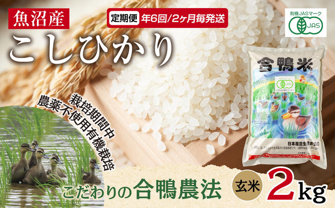 定期便 年6回 2か月毎 魚沼産 コシヒカリ 2kg あいがも農法 有機栽培米 玄米 米 お米 ご飯 胚芽 合鴨 ごんべい こしひかり 特A 人気 安全 お取り寄せ 送料無料 新潟県 十日町市 