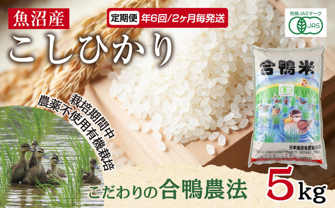 定期便 年6回 2か月毎 魚沼産 コシヒカリ 5kg あいがも農法 有機栽培米 精米 米 お米 ご飯 白米 合鴨 ごんべい こしひかり 特A 人気 安全 お取り寄せ 送料無料 新潟県 十日町市 