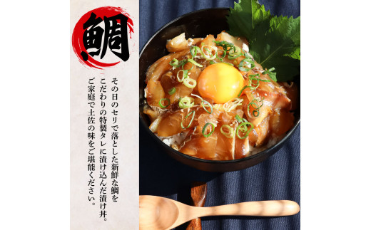 ～四国一小さなまち～ 訳あり 鯛の漬け丼＆マグロの漬け丼 各10P 計20P タイ たい まぐろ 鮪 海鮮丼 漬け丼 魚 魚介 海鮮丼 海鮮 惣菜 おかず 真空パック 個包装 小分け 訳アリ