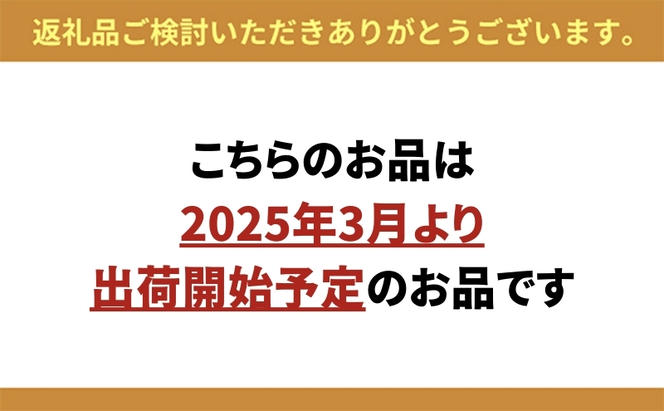 【2025年3月より順次出荷予定】AIRZ ボクサー パンツ(ショート丈タイプ)Mサイズ ブラック3枚セット 下着 グンゼ GUNZE メンズ シンプル