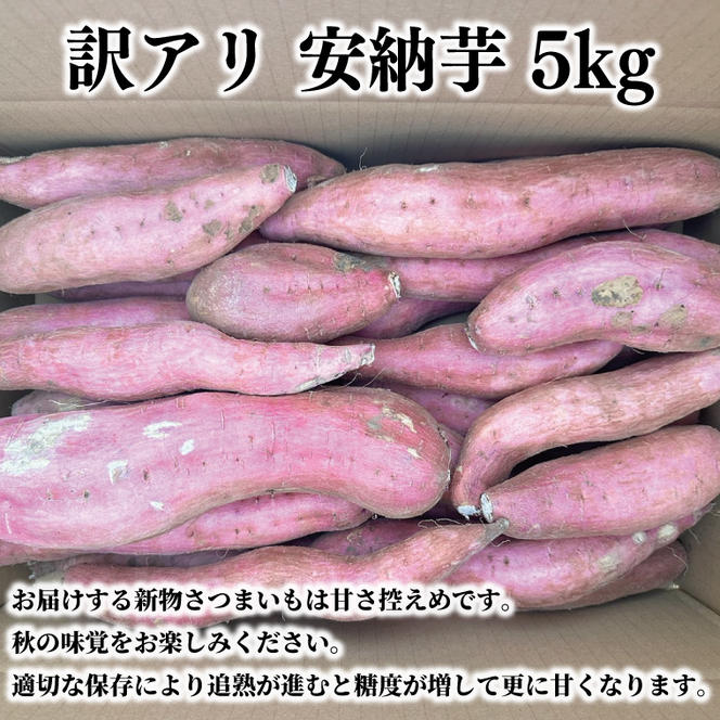 【期間限定】訳アリ 5kg 茨城県産 安納芋　芋　イモ　サツマイモ　さつまいも　訳あり（AS004）