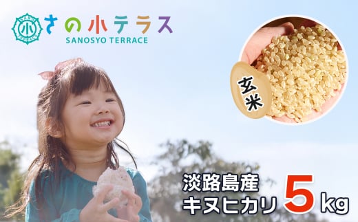 淡路島産キヌヒカリ 5ｋｇ （玄米）