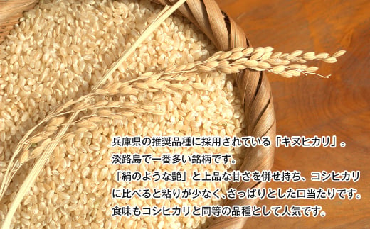 淡路島産キヌヒカリ 5ｋｇ （玄米）