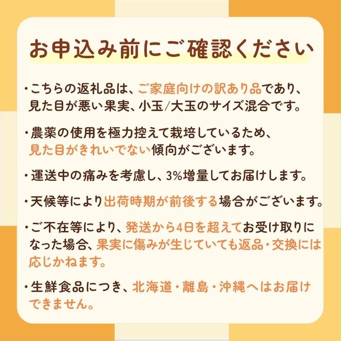 家庭用 完熟 有田みかん1kg＋30g（傷み補償分）サイズ混合　※北海道・沖縄・離島への配送不可　※2024年11月上旬～2025年1月下旬頃に順次発送予定