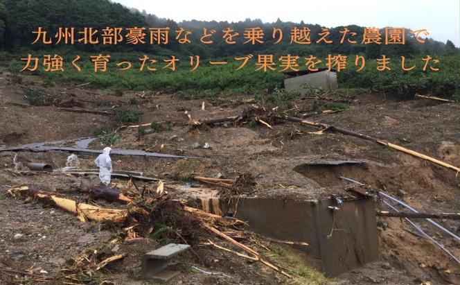 訳あり オリーブオイル 自家農園産 エクストラバージンオリーブオイル 250g 油