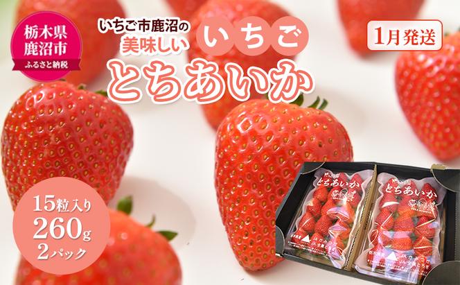 いちご市 鹿沼の 美味しい 「い」「ち」「ご」 とちあいか 15粒入り260g 2パック 【発送予定】1月11日～1月31日 いちご イチゴ 苺 フルーツ 果物 甘い うまい 日本一 品質 ビタミンC 果実 贈答用 鹿沼市 かぬま