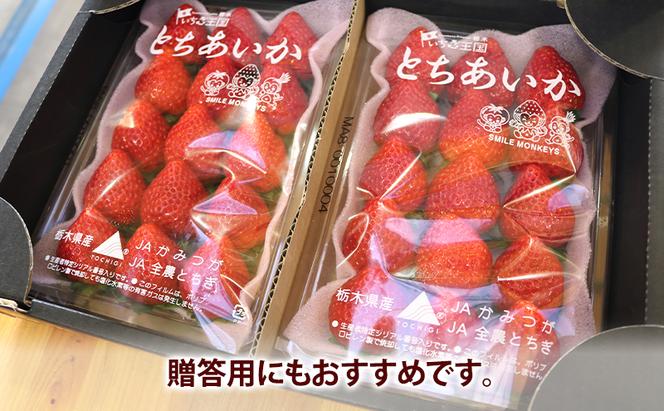 いちご市 鹿沼の 美味しい 「い」「ち」「ご」 とちあいか 15粒入り260g 2パック 【発送予定】1月11日～1月31日 いちご イチゴ 苺 フルーツ 果物 甘い うまい 日本一 品質 ビタミンC 果実 贈答用 鹿沼市 かぬま