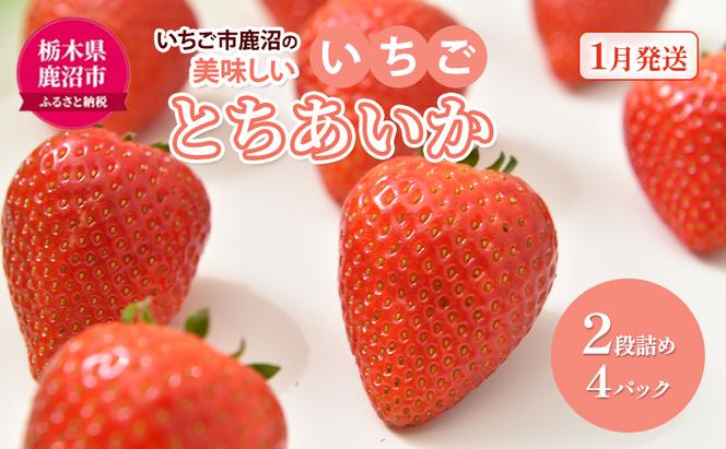 いちご市 鹿沼の 美味しい 「い」「ち」「ご」 とちあいか 2段詰め 4パック 【発送予定】1月11日～1月31日 いちご イチゴ 苺 フルーツ 果物 甘い うまい 日本一 品質 ビタミンC 果実 家庭用 鹿沼市 かぬま