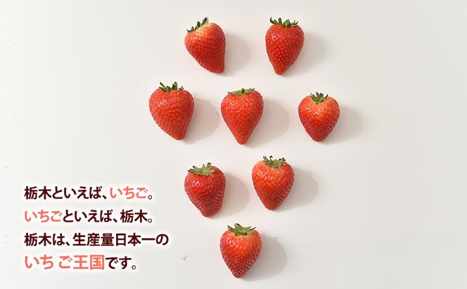 いちご市 鹿沼の 美味しい 「い」「ち」「ご」 とちあいか 2段詰め 4パック 【発送予定】1月11日～1月31日 いちご イチゴ 苺 フルーツ 果物 甘い うまい 日本一 品質 ビタミンC 果実 家庭用 鹿沼市 かぬま