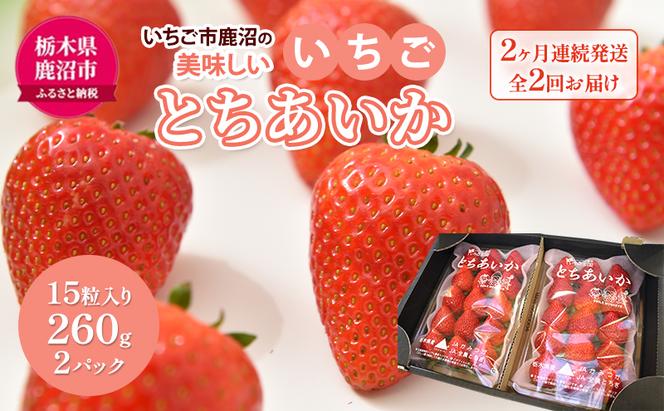 【 定期便 】 いちご市 鹿沼の 美味しい 「い」「ち」「ご」 とちあいか 15粒入り260g 2パック 2ヶ月連続発送 全2回 お届け いちご イチゴ 苺 フルーツ 果物 甘い うまい 日本一 ビタミンC 贈答用 鹿沼市 かぬま