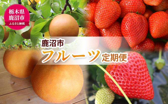 【 定期便 2回 】 大玉な梨 にっこり 2玉 約2kg と いちご市 鹿沼の 美味しい 「い」「ち」「ご」 とちあいか 15粒入り260g 2パック のフルーツ 定期便【発送予定】 10月 1月 梨 いちご 甘い 鹿沼市 かぬま