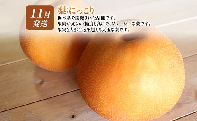 【 定期便 2回 】 大玉な梨 にっこり 2玉 約2kg と いちご市 鹿沼の 美味しい 「い」「ち」「ご」 とちあいか 15粒入り260g 2パック のフルーツ 定期便【発送予定】 11月 2月 梨 いちご 甘い 鹿沼市 かぬま