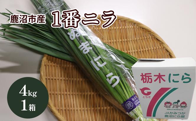 鹿沼市産 にら 1番ニラ 4kg 1箱【発送期日】1月11日～2月28日 にら ニラ 野菜 うまい 甘い 柔らかい風味 鹿沼市 かぬま