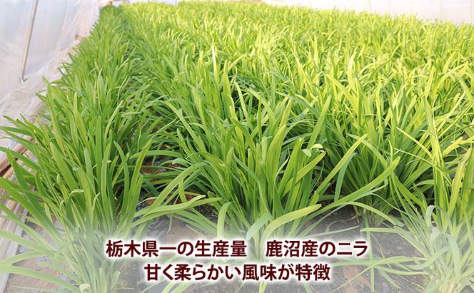 鹿沼市産 にら 1番ニラ 4kg 1箱【発送期日】1月11日～2月28日 にら ニラ 野菜 うまい 甘い 柔らかい風味 鹿沼市 かぬま