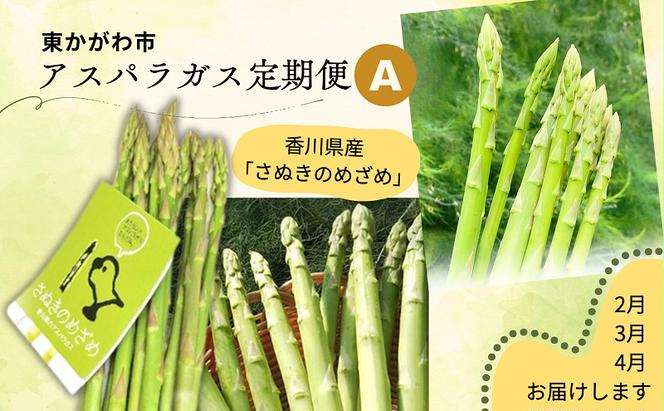 東かがわ市　アスパラガス定期便 A（3回） さぬきのめざめ 香川 グリーンアスパラガス アスパラ 緑 野菜 グルメ  