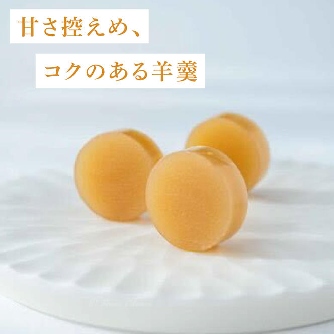 【丸三老舗】千年羊羹【ようかん 羊羹 大豆 だいず 甜菜糖 てんさい糖 和菓子 スイーツ 和スイーツ 茶菓子 お茶菓子 10000円以内 一万円以内 茨城県 鹿嶋市】（KF-17）