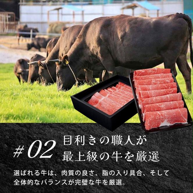 近江牛ヒレステーキ800g / 栗東市 日本三大和牛 国産 肉 和牛 牛肉