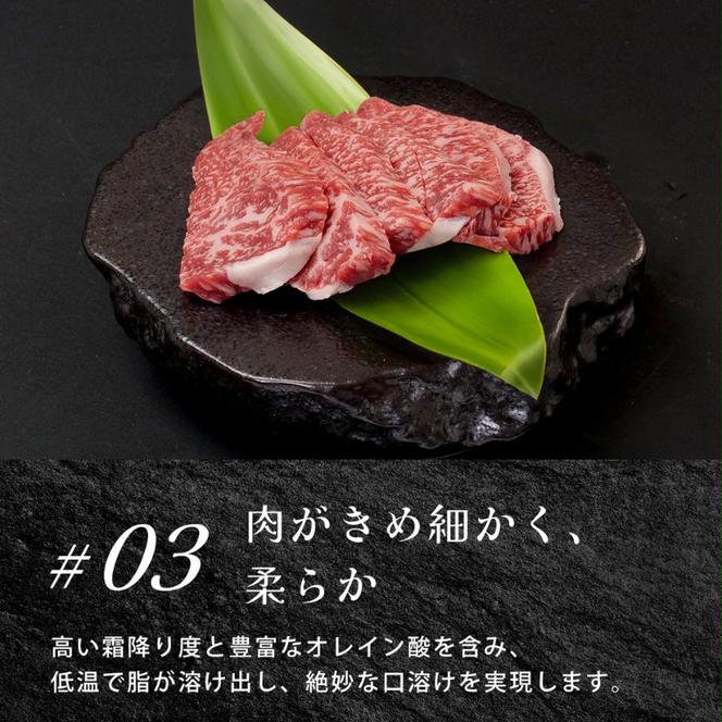 近江牛ヒレステーキ800g / 栗東市 日本三大和牛 国産 肉 和牛 牛肉