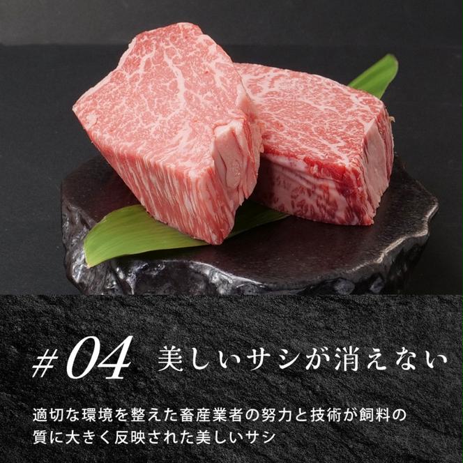 近江牛ヒレステーキ800g / 栗東市 日本三大和牛 国産 肉 和牛 牛肉