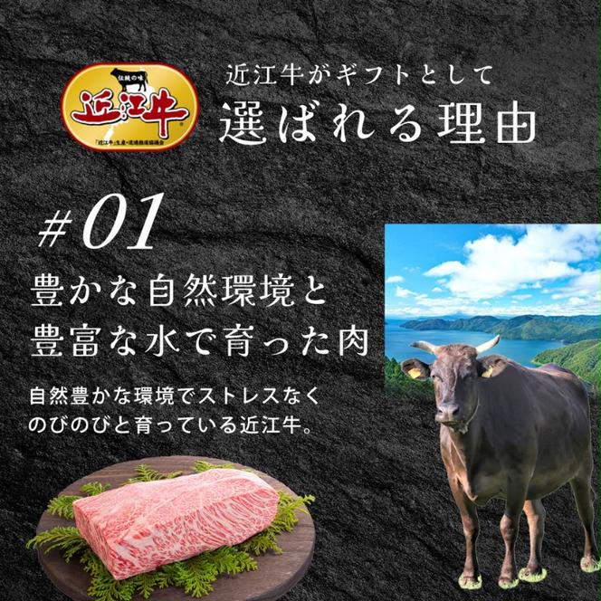 近江牛バラ、モモ、ロース各100g×6種セット / 栗東市 日本三大和牛 国産 肉 和牛 牛肉