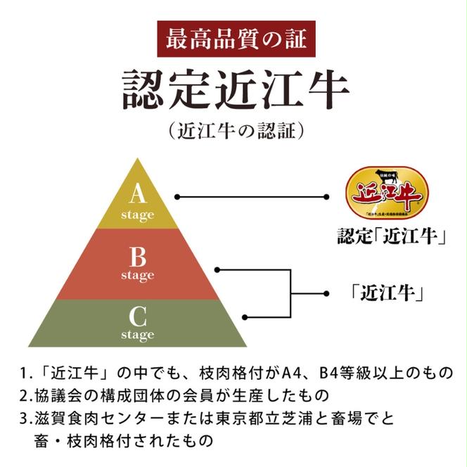 近江牛バラ、モモ、ロース各100g×6種セット / 栗東市 日本三大和牛 国産 肉 和牛 牛肉