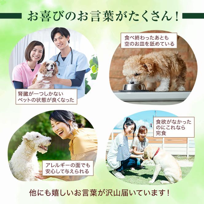 小諸産 鹿肉ドライフード 100g×10袋 長野 信州 鹿肉 ドッグフード ペット おやつ こだわり 食材 お取り寄せ 肉の加工品 シカ肉 ドックフード ペット用品 ペットフード 犬猫用 