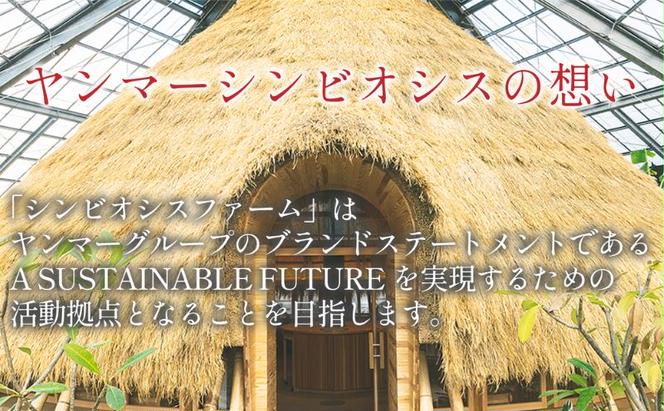 【1棟貸切いちご狩り・5名様までO K】いちご狩り体験(2kg相当）・スイーツ作り放題・滋賀こだわりドリンク（フリードリンク）など特典満載のSYMBIOSIS FARM（シンビオシスファーム）無料招待券