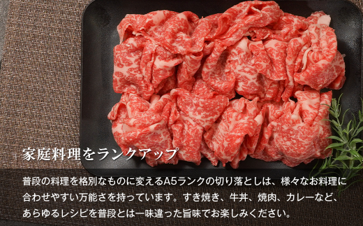 【定期便6ヶ月】【A5ランク限定】淡路島産黒毛和牛 切り落とし 500g【神戸ビーフ】