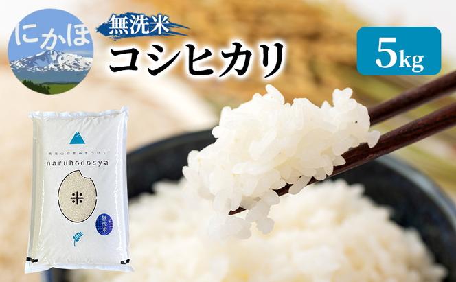 米 無洗米 令和6年産 コシヒカリ 5kg×1 お米