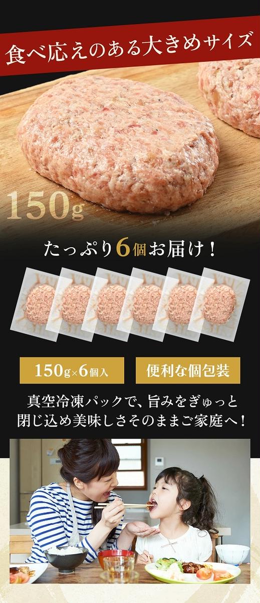 CF034_佐賀牛かばいばーぐ　150g×6個