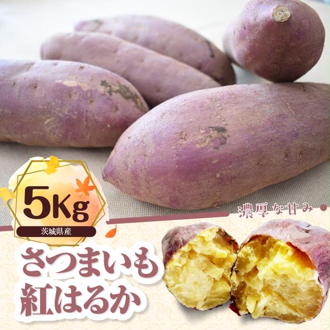 さつまいも　紅はるか 約5kg(BS-10)