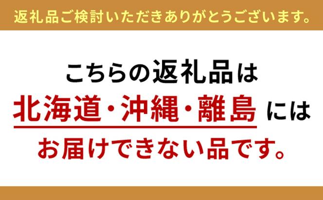 WORKSTUDIO 書棚  バルバーニ DD-B602WN 国産 家具 木製 収納 棚 勉強 書斎 絵本棚 シンプル デザイン 静岡 袋井市