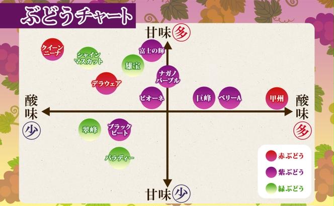 クイーンニーナ 1房 約500～600g 葡萄 ブドウ ぶどう 赤ぶどう 大粒 種なし 甘い フルーツ 果物 産地直送 新鮮 ジューシー お取り寄せ ギフト 国産 埼玉県結城市