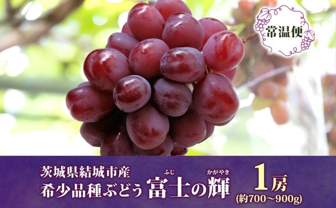 富士の輝 1房 約700～900g 葡萄 ブドウ ぶどう 大粒 種なし ブラック シャインマスカット 甘い 皮ごと フルーツ 果物 産地直送 新鮮 お取り寄せ ギフト 国産 季節限定 茨城県 結城市