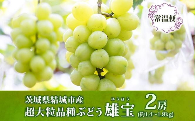 雄宝 2房 約1.4～1.8kg 葡萄 ブドウ ぶどう 大粒 種なし 皮ごと 甘い フルーツ 果物 産地直送 新鮮 ジューシー お取り寄せ ギフト 国産 季節限定 茨城県 結城市