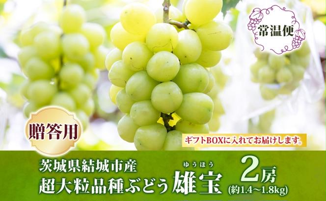 贈答用 雄宝 2房 約1.4～1.8kg 葡萄 ブドウ ぶどう 大粒 種なし 甘い フルーツ 果物 産地直送 新鮮 お取り寄せ ギフト 国産 季節限定 ギフト 茨城県 結城市