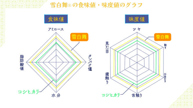 小学生が作ったお米！雪白舞コシヒカリ2kg