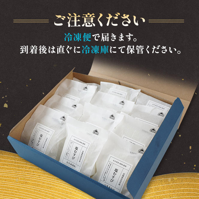 おにぎり 岩沼市産塩むすび5種詰合せ 12個入り 冷凍 詰め合わせ おむすび ひとめぼれ つや姫 だて正夢 つきあかり 金のいぶき