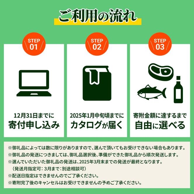 【年末限定】返礼品は後からゆっくり選べる寄附コース★C★ ～2024年度版～ あとから選べる おすすめ 人気 カツオ カツオのたたき うなぎ 鰻 肉 酒 塩 魚 魚介 カタログ 300000円