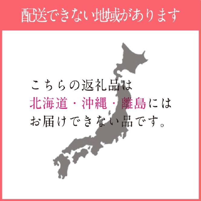 【2025年 予約受付中】 シャインマスカット 晴王 1房約620g 7月～8月出荷/ 岡山県産 種無し 皮ごと食べる みずみずしい フレッシュ 晴れの国 おかやま 果物大国 彩美菜果