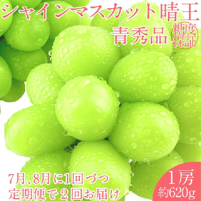 2025年 予約受付中【2回定期便】 シャインマスカット 晴王 1房約620g 7月～8月出荷/ 岡山県産 種無し 皮ごと食べる みずみずしい フレッシュ 晴れの国　  おかやま 果物大国 彩美菜果