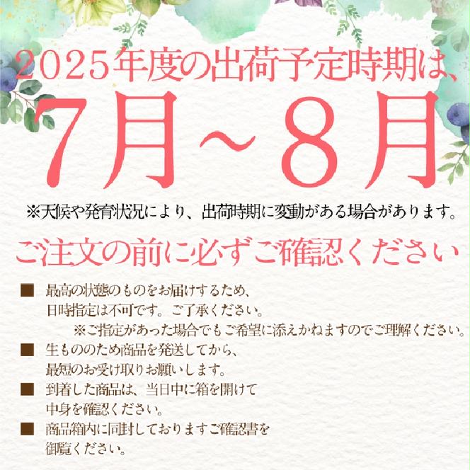 2025年 予約受付中【2回定期便】 シャインマスカット 晴王 1房約620g 7月～8月出荷/ 岡山県産 種無し 皮ごと食べる みずみずしい フレッシュ 晴れの国　  おかやま 果物大国 彩美菜果