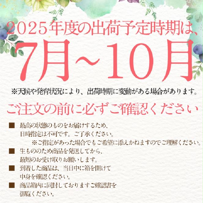 2025年 予約受付中【4回定期便】 シャインマスカット 晴王1房 約620g 7月～10月出荷/ 岡山県産 種無し 皮ごと食べる みずみずしい フレッシュ 晴れの国 おかやま 果物大国 彩美菜果