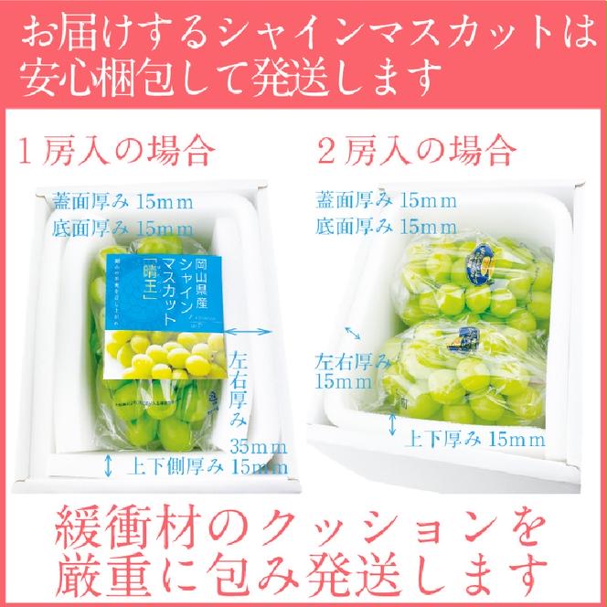 【2025年 予約受付中】 シャインマスカット 晴王 1房約550g 9月～10月出荷/ 岡山県産 種無し 皮ごと食べる みずみずしい フレッシュ 晴れの国 おかやま　 果物大国 彩美菜果