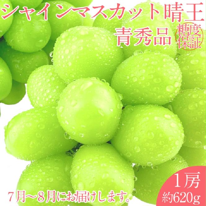 【2025年 予約受付中】 シャインマスカット 晴王 1房約620g 7月～8月出荷/ 岡山県産 種無し 皮ごと食べる みずみずしい フレッシュ 晴れの国 おかやま 果物大国 彩美菜果