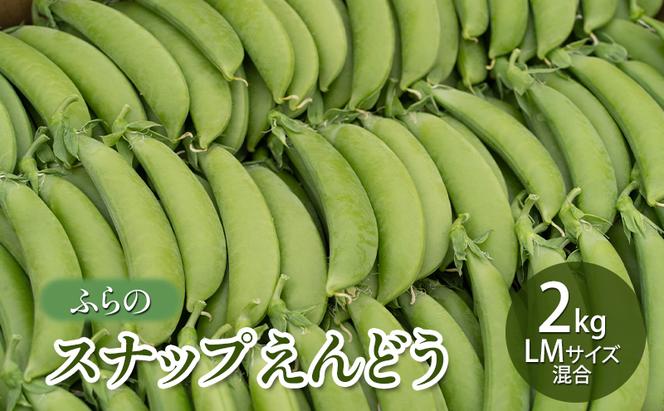 【2025年夏発送】ふらの スナップえんどう 2kg LMサイズ混合 バラ 北海道 富良野市 野菜 新鮮 直送 スナップえんどう 道産 ふらの 送料無料 数量限定 先着順