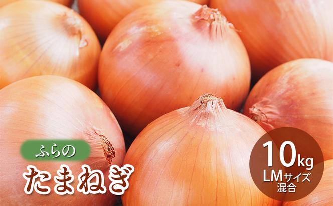 【2025年秋発送】ふらの たまねぎ 10kg LMサイズ混合 北海道 富良野市 野菜 新鮮 直送 玉ねぎ 道産 ふらの 送料無料 数量限定 先着順