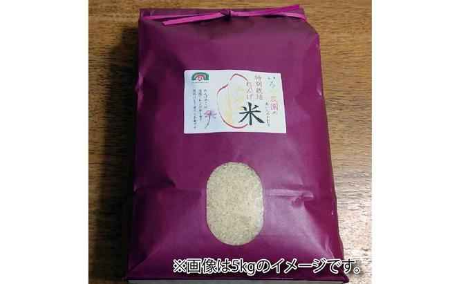 特別栽培れんげ米 日進市産 あいちのかおり 10kg ( 5kg × 2袋 ) 米 白米 精米 特別栽培米 コメ お米 おこめ 愛知 愛知県 日進市